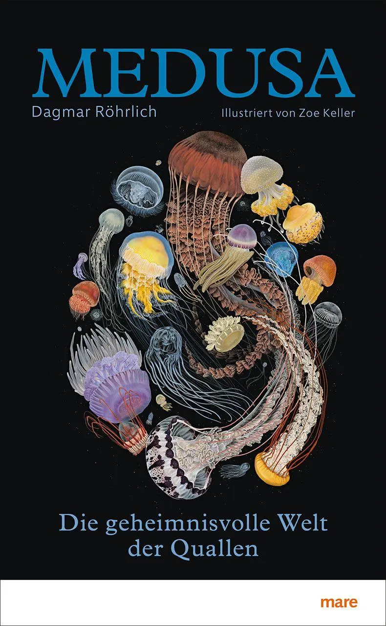 Cover: 9783866487680 | Medusa | Die geheimnisvolle Welt der Quallen | Dagmar Röhrlich | Buch