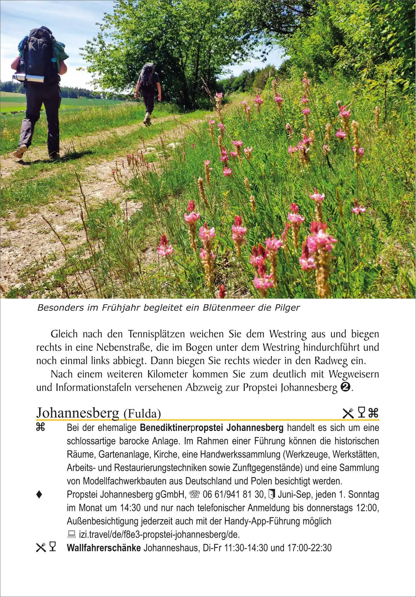 Bild: 9783866867680 | Jakobsweg von der Rhön an die Donau | Martin Simon | Taschenbuch