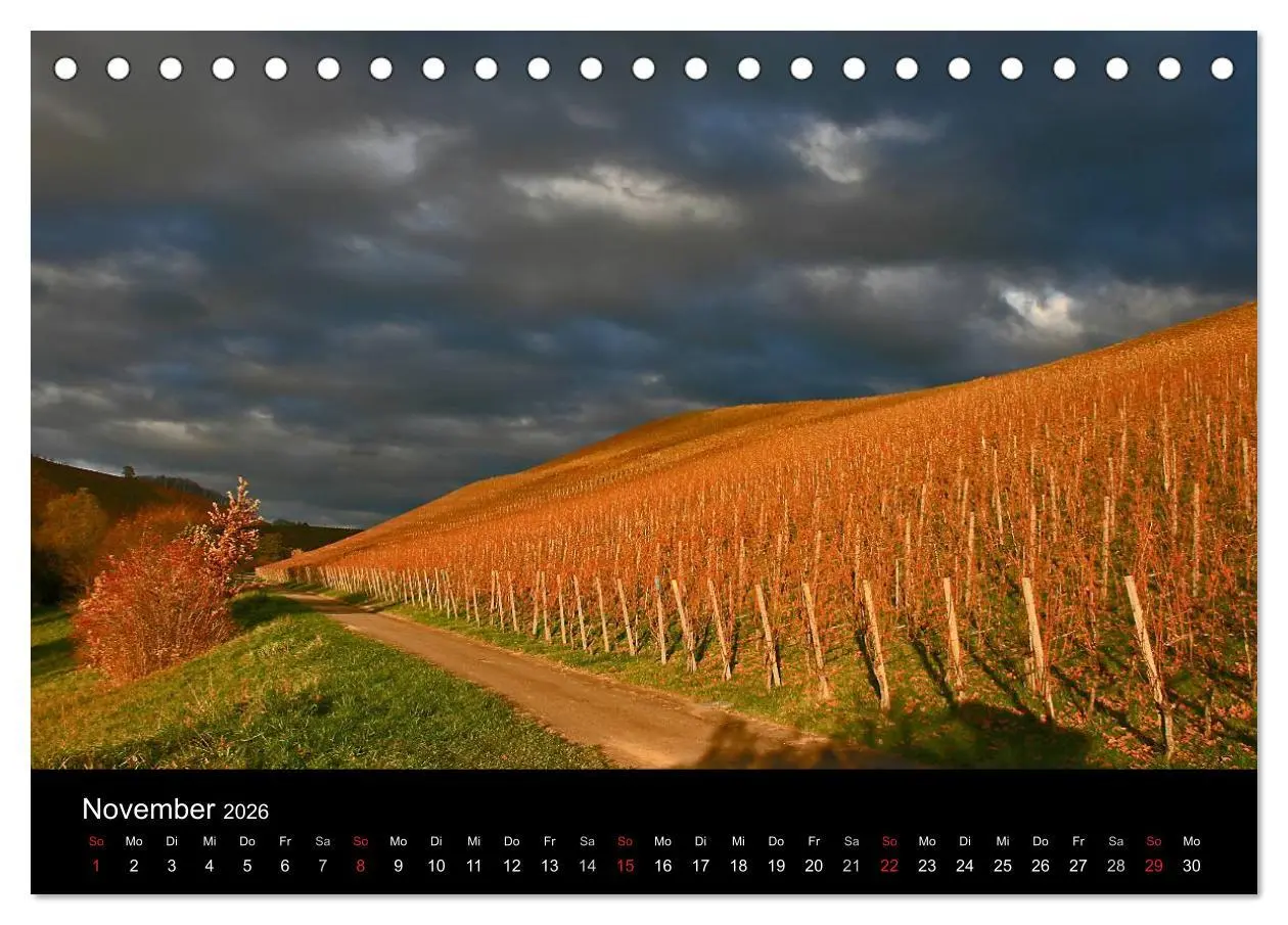 Bild: 9783516217780 | Die Ortenau (Tischkalender 2026 DIN A5 quer), CALVENDO Monatskalender