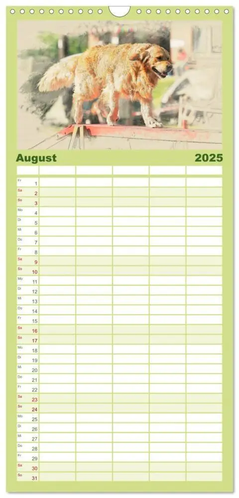 Bild: 9783457117880 | Familienplaner 2025 - Golden Retriever mit 5 Spalten (Wandkalender,...