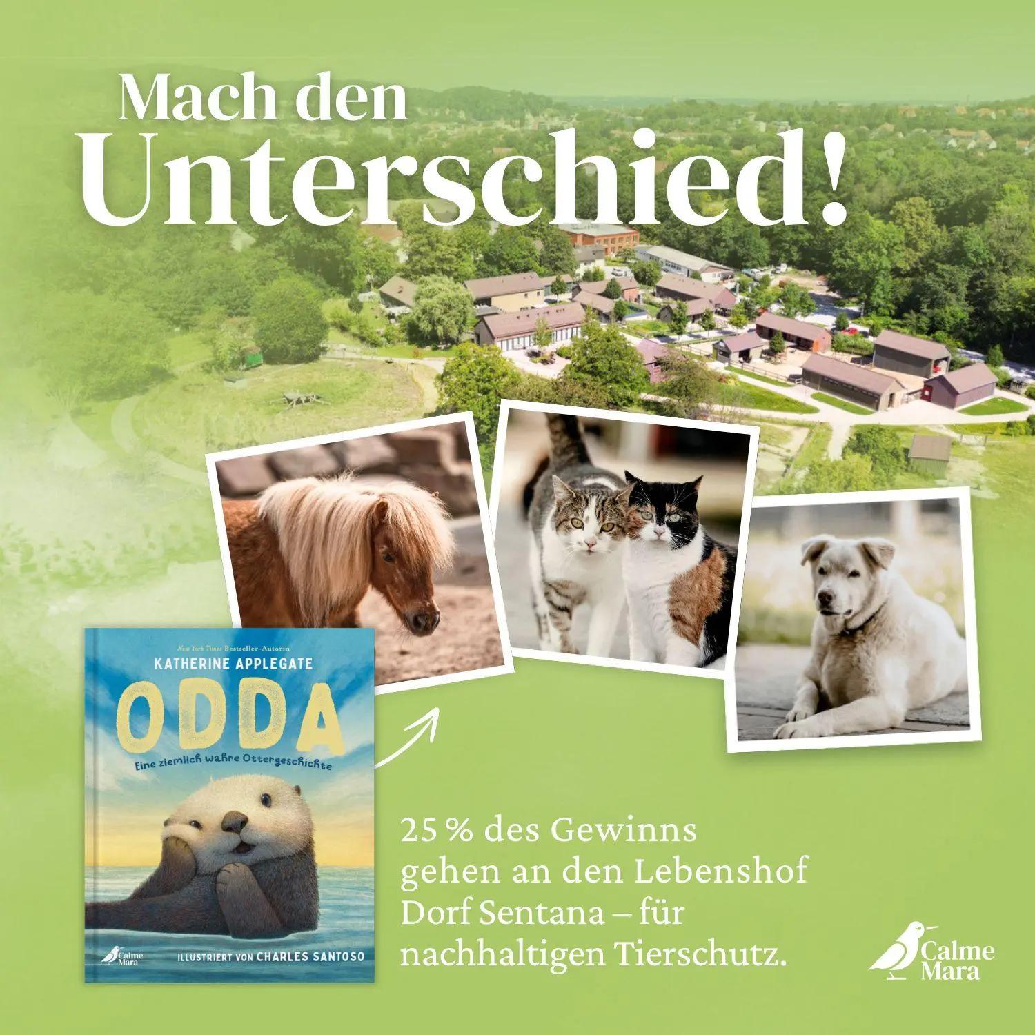 Bild: 9783948877880 | Odda | Katherine Applegate | Buch | 40 S. | Deutsch | 2026