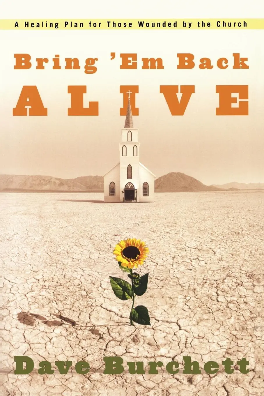 Cover: 9781578567980 | Bring 'Em Back Alive | A Healing Plan for those Wounded by the Church
