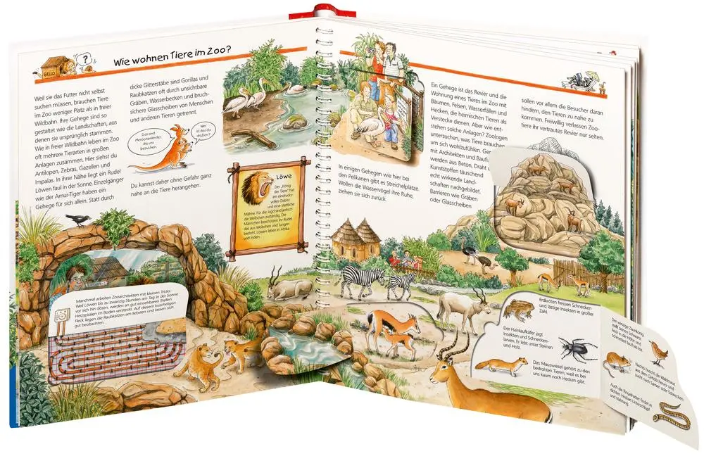 Bild: 9783473327980 | Wieso? Weshalb? Warum?, Band 45: Im Zoo | Andrea Erne | Taschenbuch