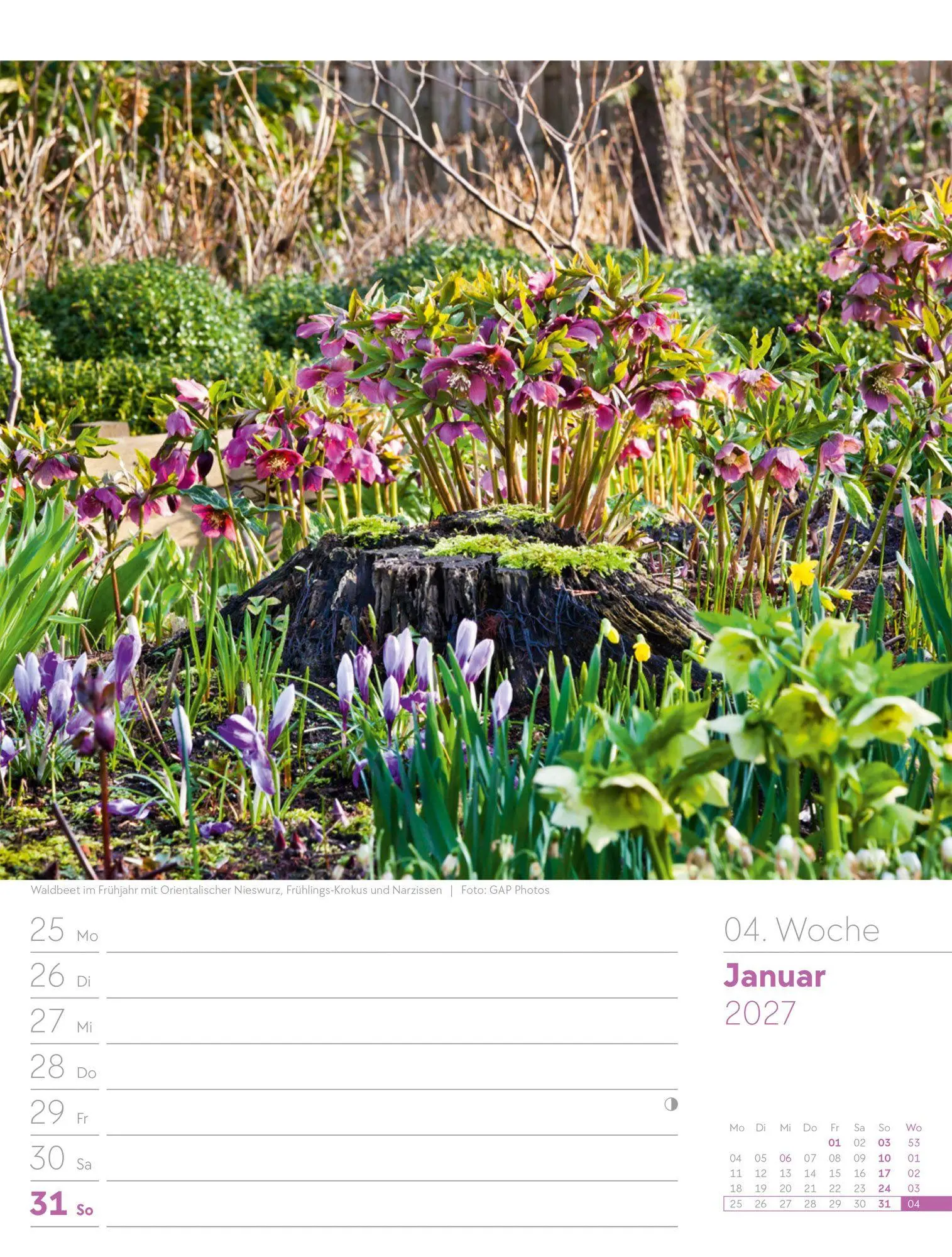Bild: 9783838427980 | Gartenglück Wochenplaner Kalender 2027 | Ackermann Kunstverlag GmbH