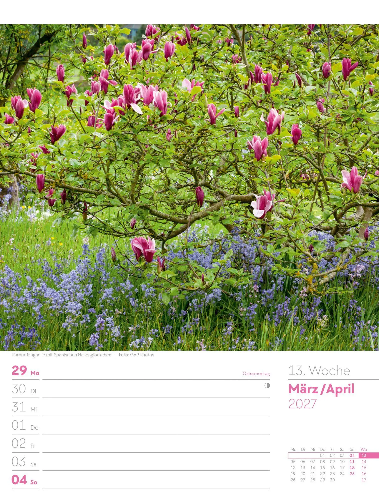 Bild: 9783838427980 | Gartenglück Wochenplaner Kalender 2027 | Ackermann Kunstverlag GmbH