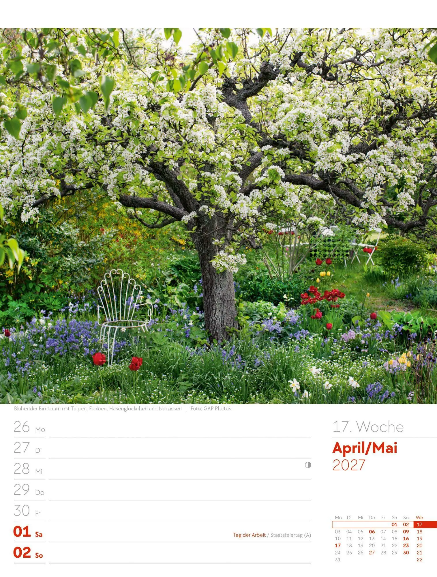 Bild: 9783838427980 | Gartenglück Wochenplaner Kalender 2027 | Ackermann Kunstverlag GmbH