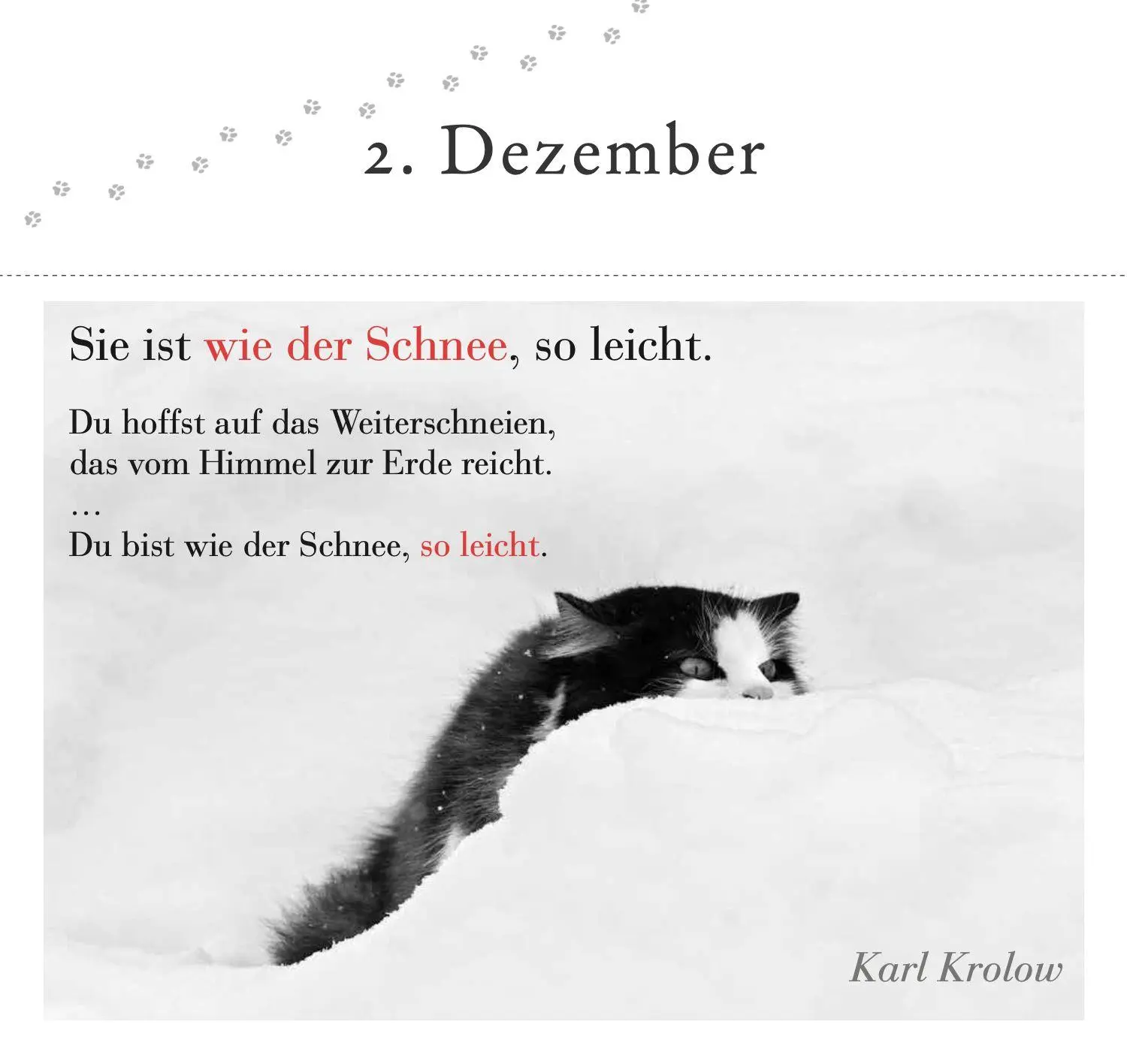 Bild: 9783895617980 | Der literarische Katzen-Adventskalender | Julia Bachstein | Buch