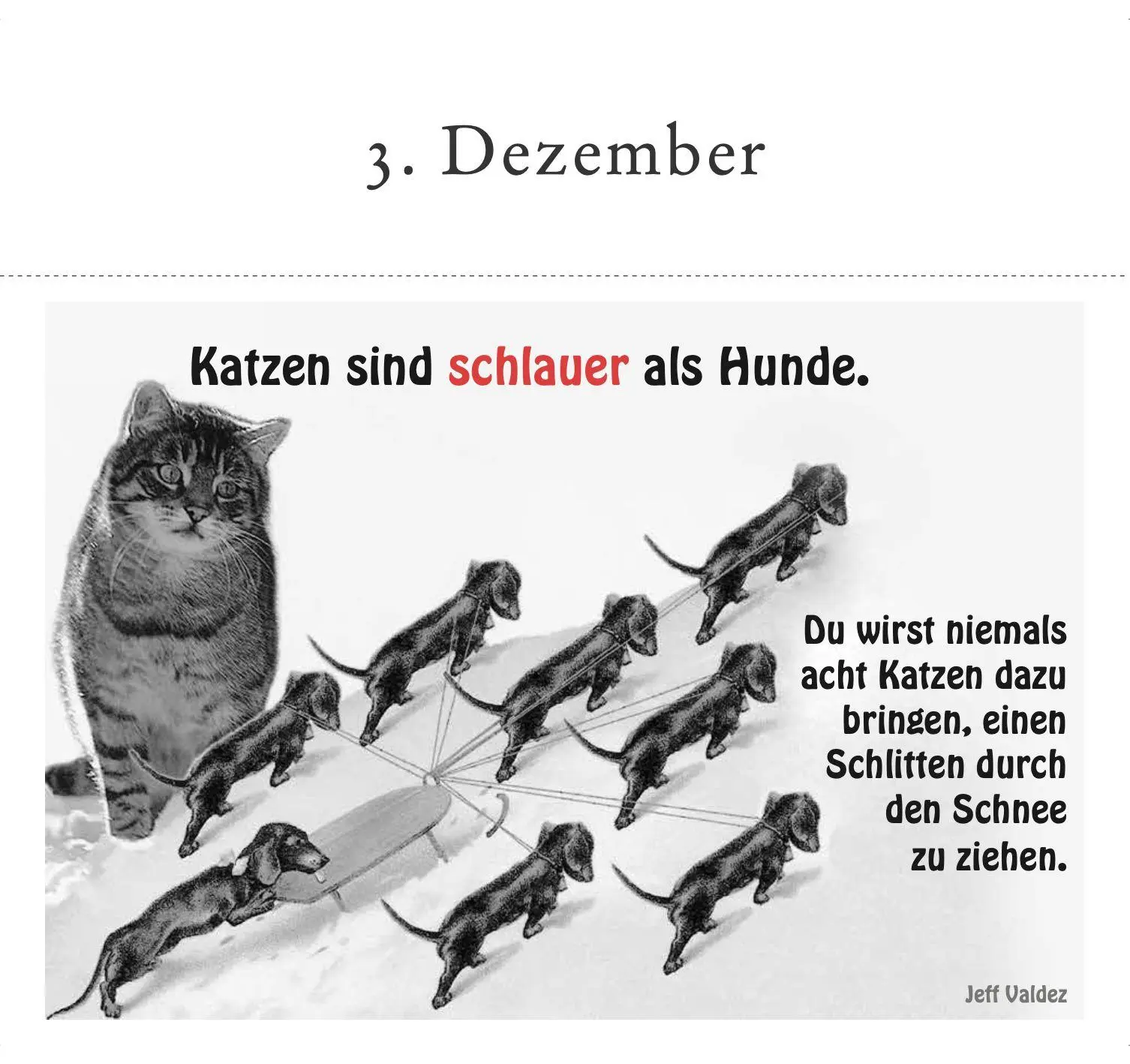 Bild: 9783895617980 | Der literarische Katzen-Adventskalender | Julia Bachstein | Buch