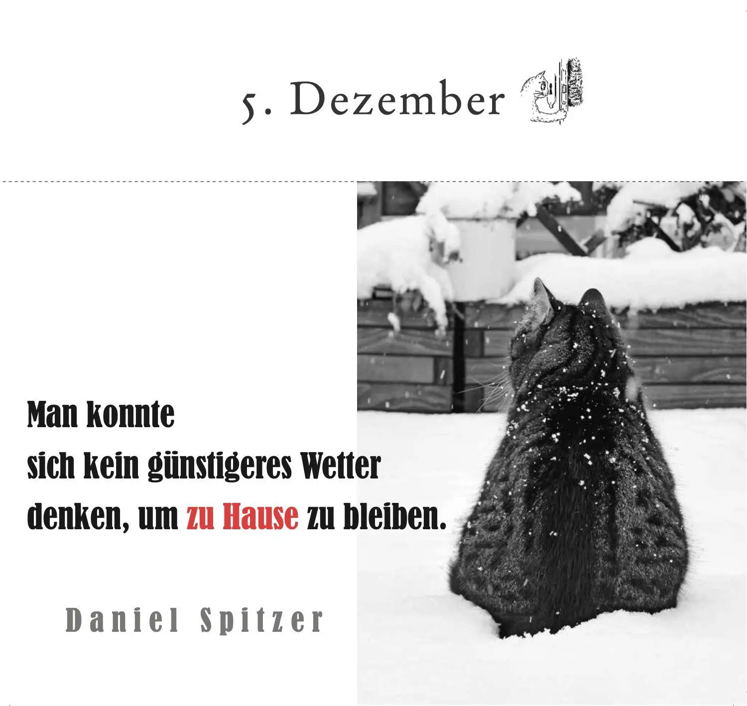 Bild: 9783895617980 | Der literarische Katzen-Adventskalender | Julia Bachstein | Buch