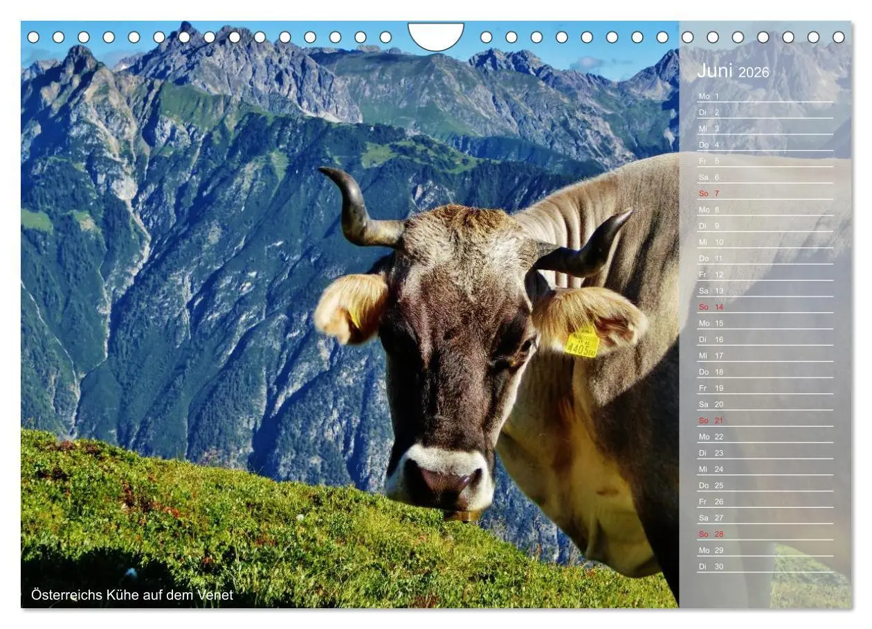 Bild: 9783516188080 | Alpenüberquerung (Wandkalender 2026 DIN A4 quer), CALVENDO...