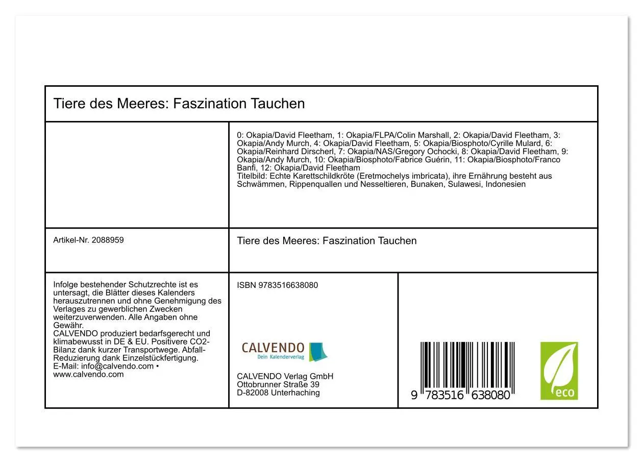 Bild: 9783516638080 | Tiere des Meeres: Faszination Tauchen (Tischkalender 2026 DIN A5...