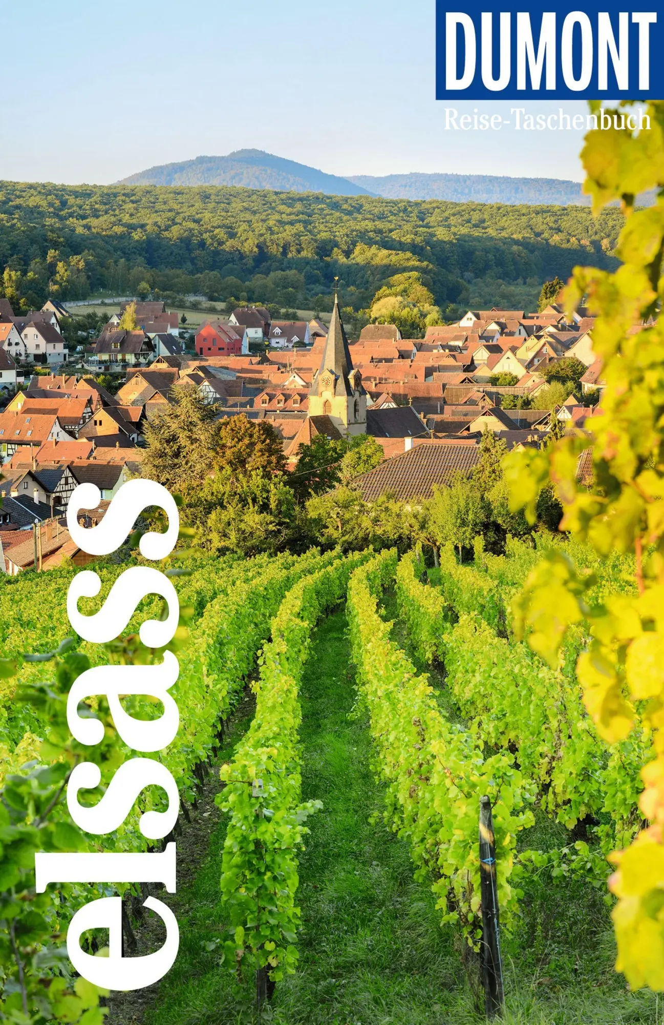 Cover: 9783616008080 | DUMONT Reise-Taschenbuch Reiseführer Elsass | Manfred Braunger (u. a.)