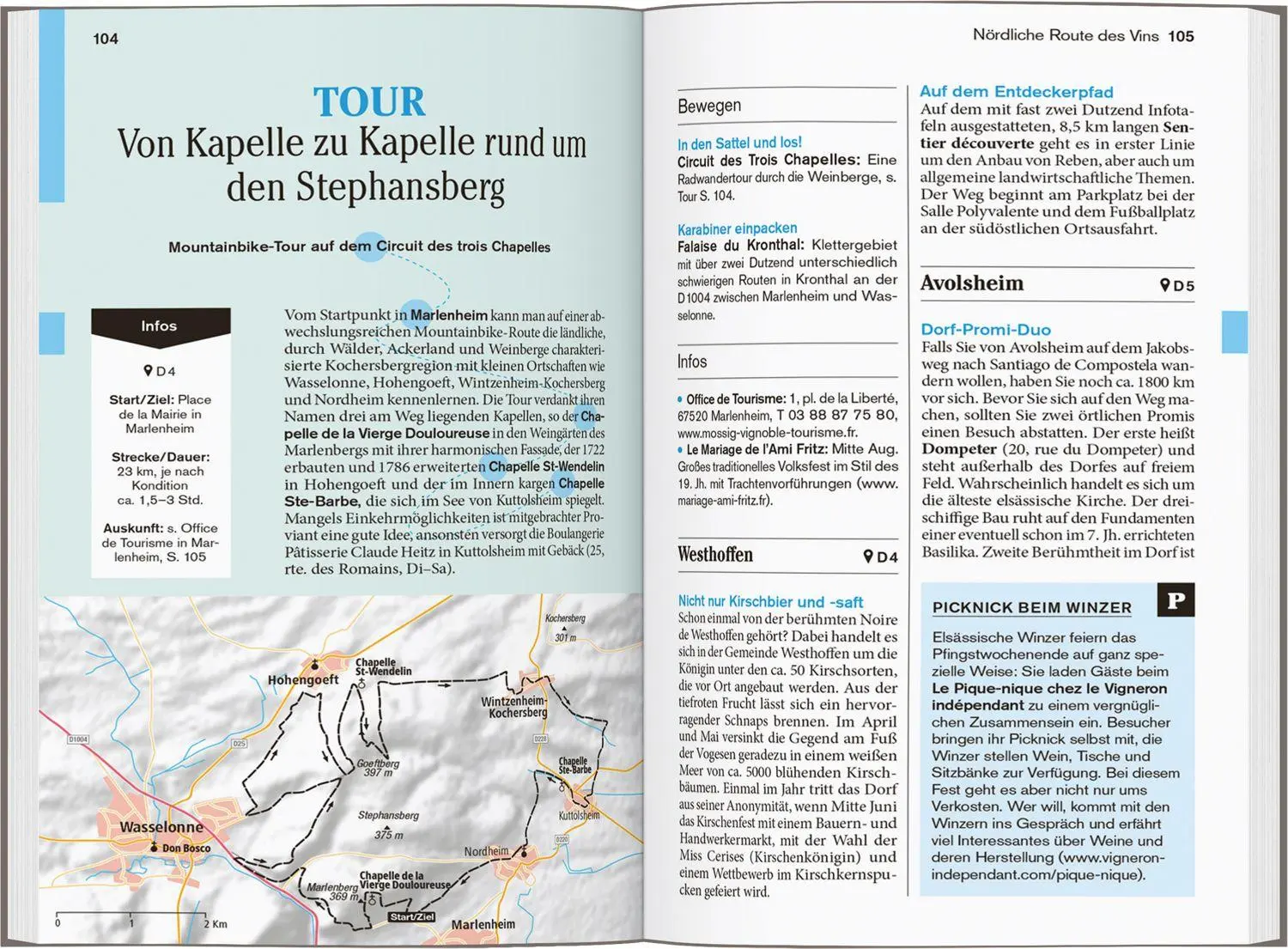 Bild: 9783616008080 | DUMONT Reise-Taschenbuch Reiseführer Elsass | Manfred Braunger (u. a.)