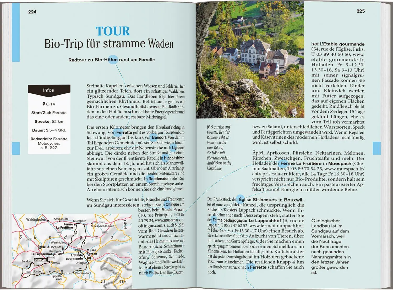 Bild: 9783616008080 | DUMONT Reise-Taschenbuch Reiseführer Elsass | Manfred Braunger (u. a.)