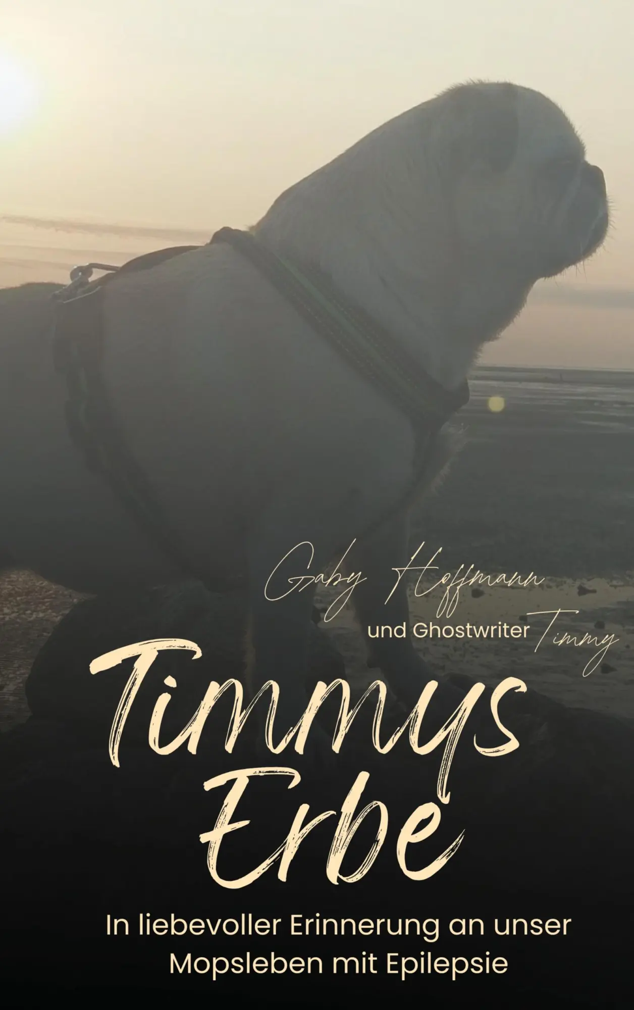 Cover: 9783769328080 | Timmys Erbe | Gaby Hoffmann | Taschenbuch | 136 S. | Deutsch | 2025