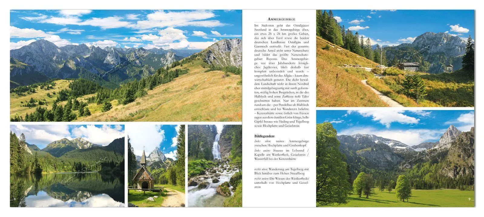 Bild: 9783949988080 | Allgäu | Gerald Schwabe | Buch | 120 S. | Deutsch | 2021