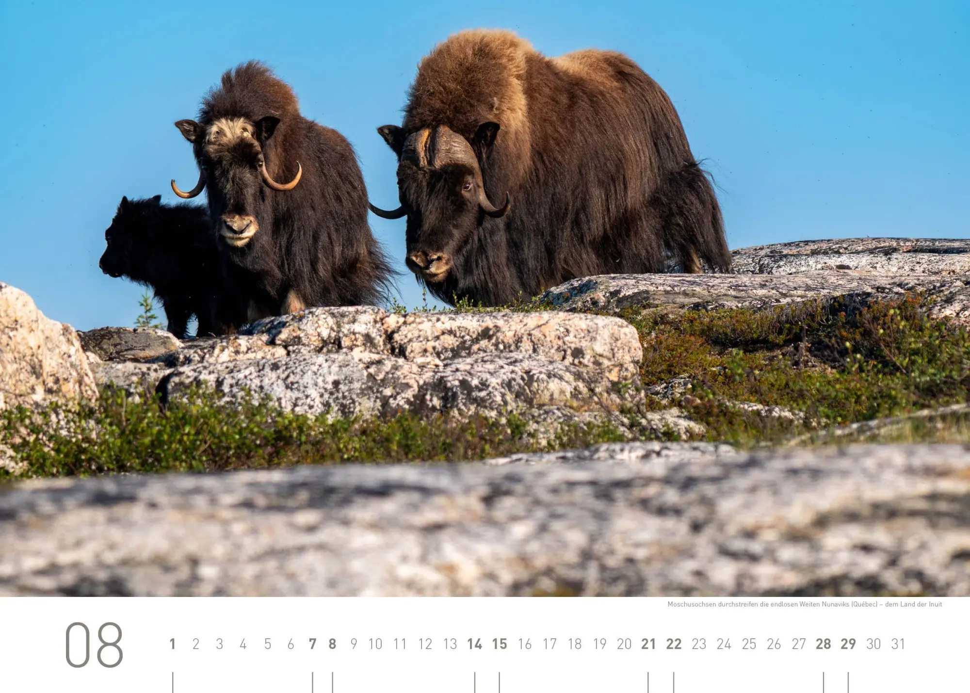 Bild: 9783968558080 | Kanada Exklusivkalender 2027 | Aaron Moser | Kalender | 14 S. | 2027
