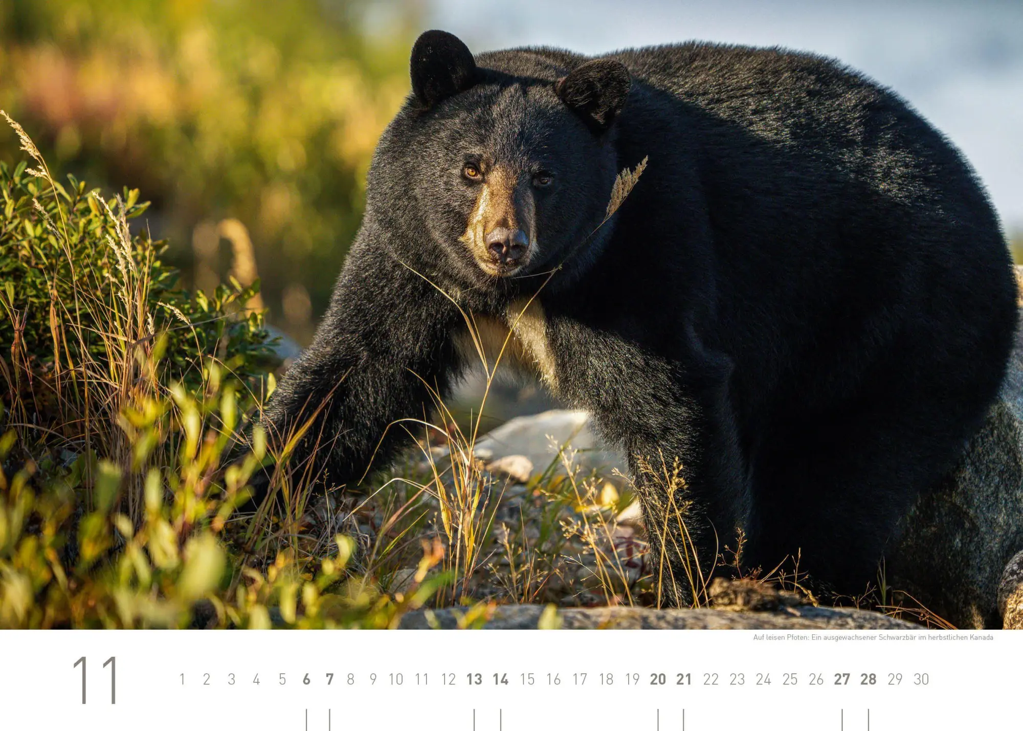 Bild: 9783968558080 | Kanada Exklusivkalender 2027 | Aaron Moser | Kalender | 14 S. | 2027