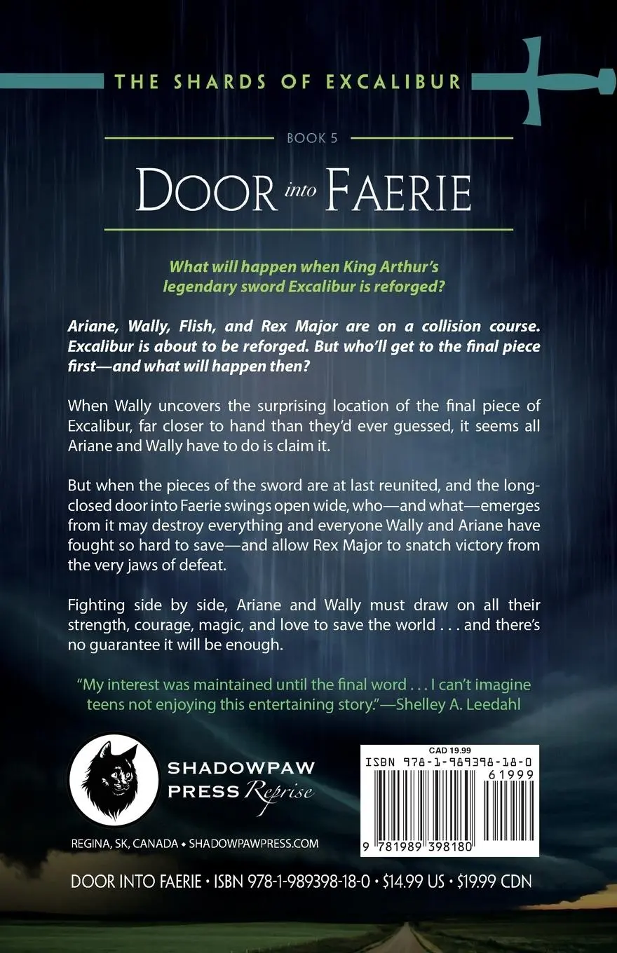 Rückseite: 9781989398180 | Door into Faerie | Edward Willett | Taschenbuch | Englisch | 2022