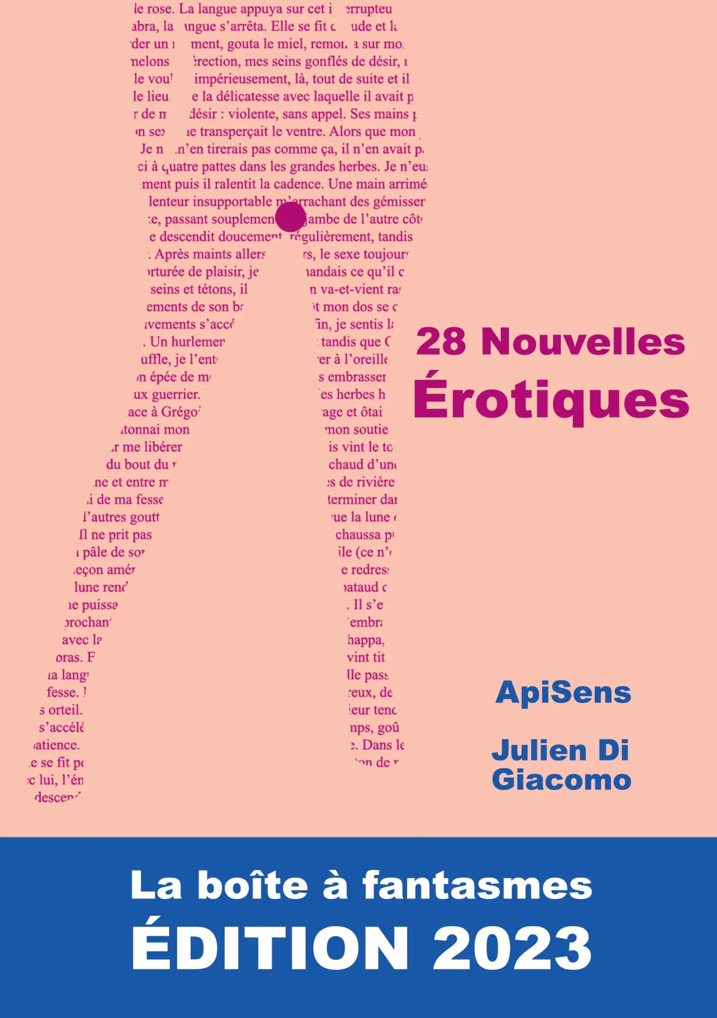 Cover: 9782322518180 | 28 Nouvelles Érotiques | La Boîte à Fantasmes. ÉDITION 2023 | Buch