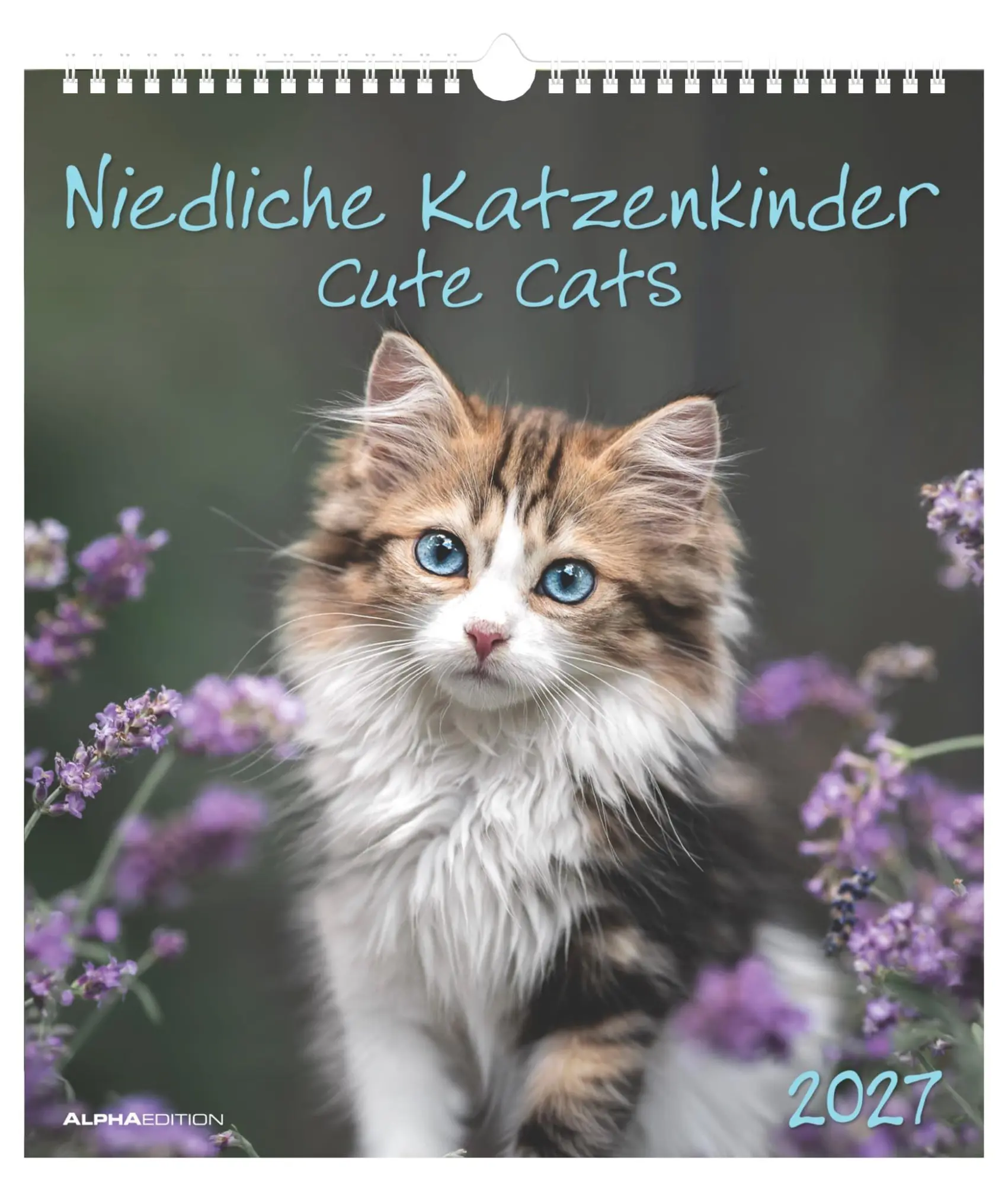Cover: 4069095018280 | Niedliche Katzenkinder 2027 | Neumann Verlage GmbH &amp; Co KG | Kalender
