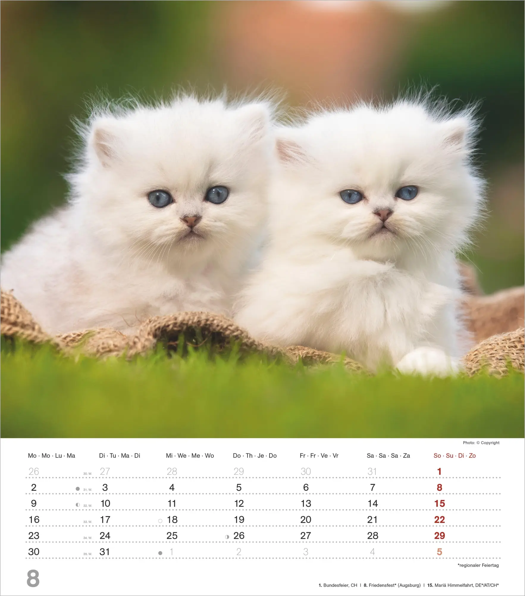 Bild: 4069095018280 | Niedliche Katzenkinder 2027 | Neumann Verlage GmbH &amp; Co KG | Kalender