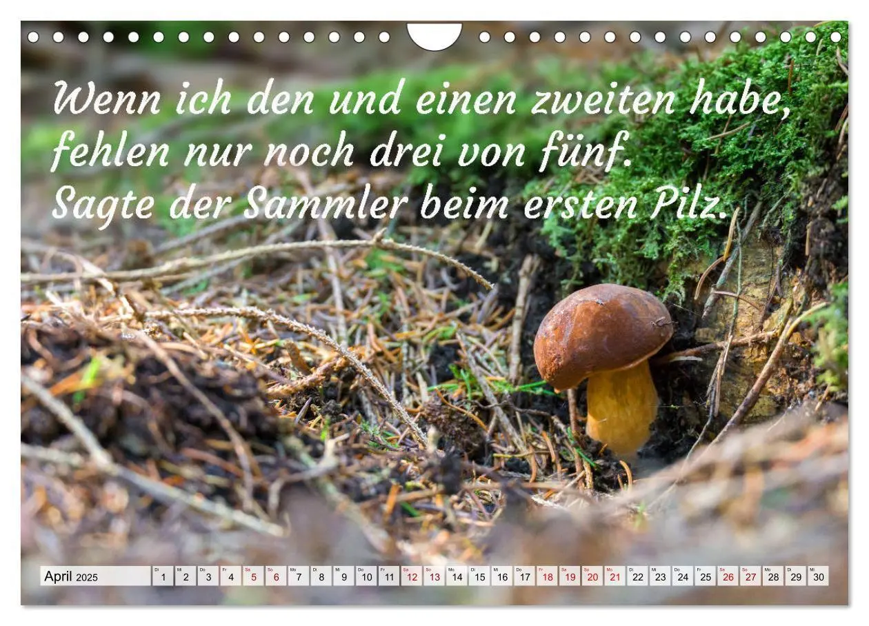 Bild: 9783435128280 | Junge, was hast du`s eilig (Wandkalender 2025 DIN A4 quer),...