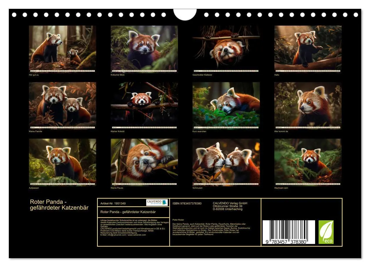 Bild: 9783457378380 | Roter Panda - gefährdeter Katzenbär (Wandkalender 2026 DIN A4...