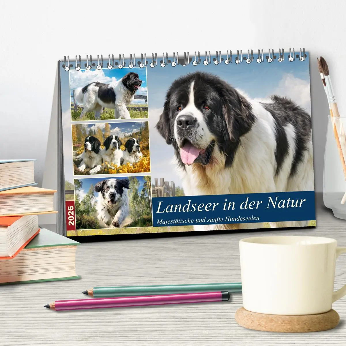 Bild: 9783457758380 | Landseer in der Natur. Majestätische und sanfte Hundeseelen...