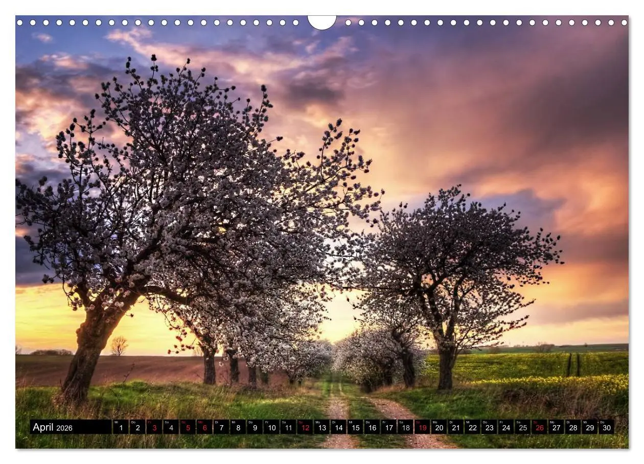Bild: 9783516088380 | Zauberhafter Harz (Wandkalender 2026 DIN A3 quer), CALVENDO...