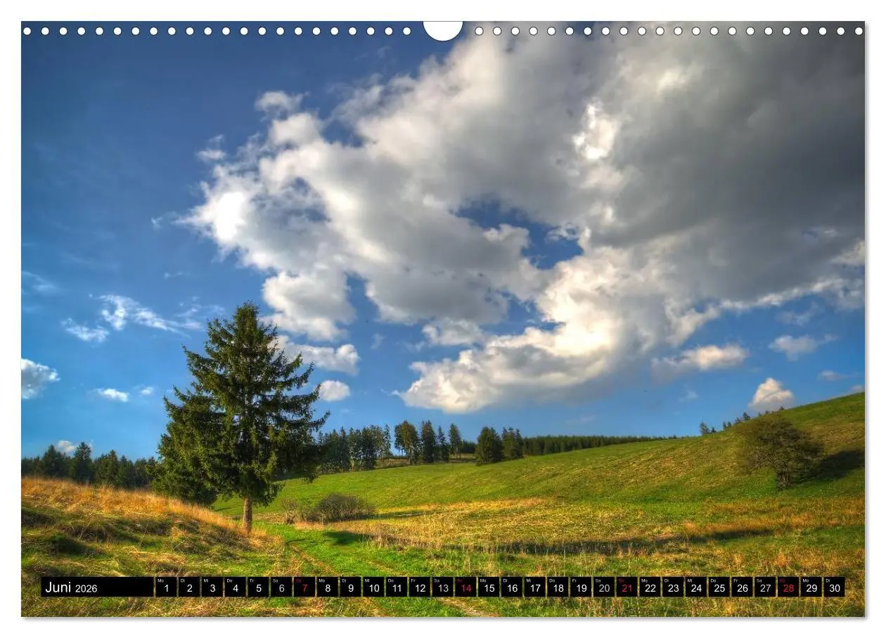 Bild: 9783516088380 | Zauberhafter Harz (Wandkalender 2026 DIN A3 quer), CALVENDO...
