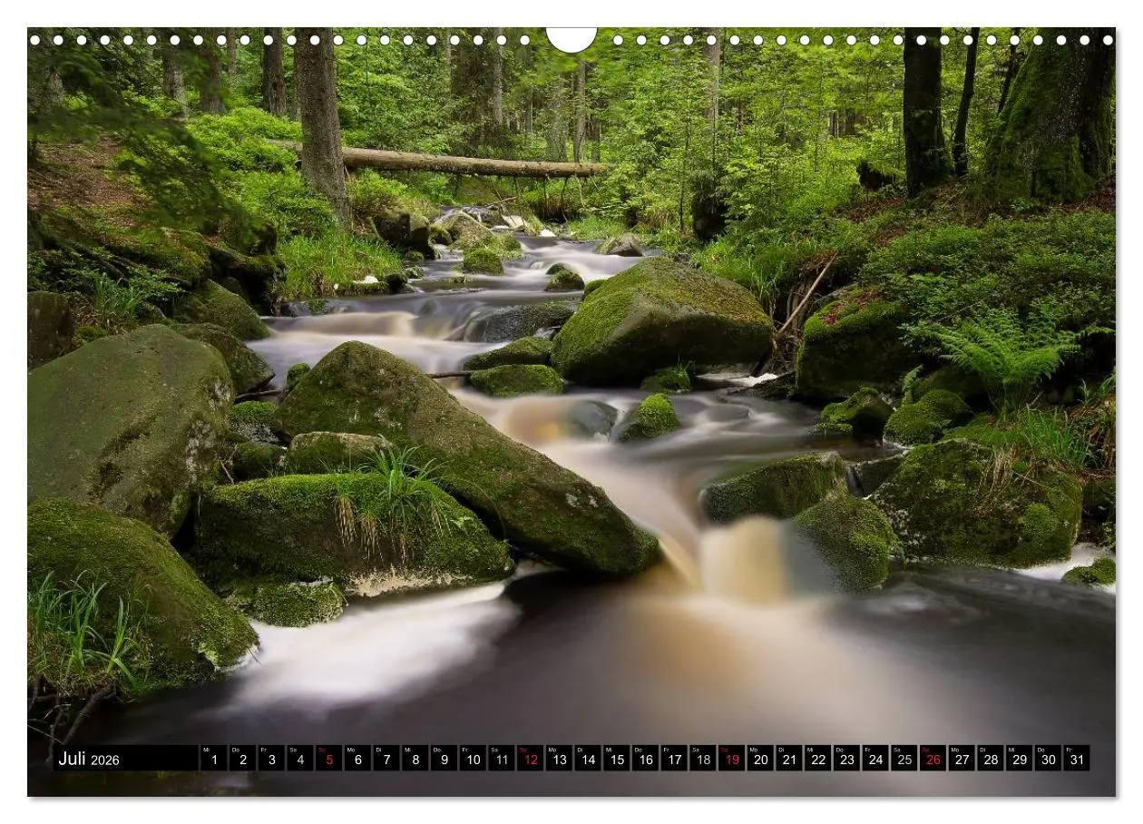 Bild: 9783516088380 | Zauberhafter Harz (Wandkalender 2026 DIN A3 quer), CALVENDO...