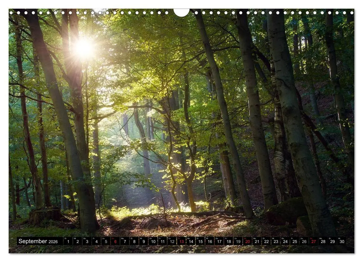 Bild: 9783516088380 | Zauberhafter Harz (Wandkalender 2026 DIN A3 quer), CALVENDO...