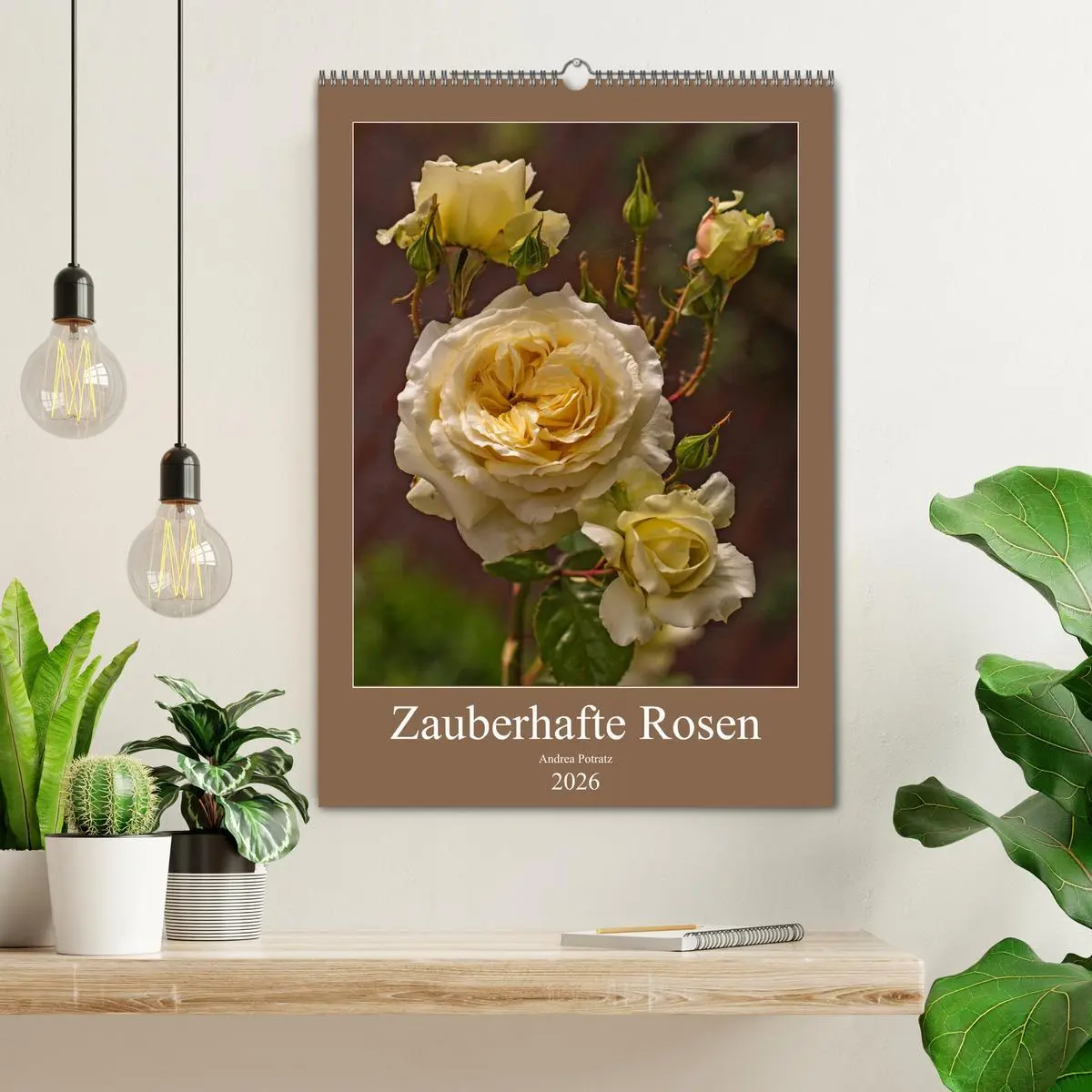 Bild: 9783516468380 | Zauberhafte Rosen (Wandkalender 2026 DIN A2 hoch), CALVENDO...