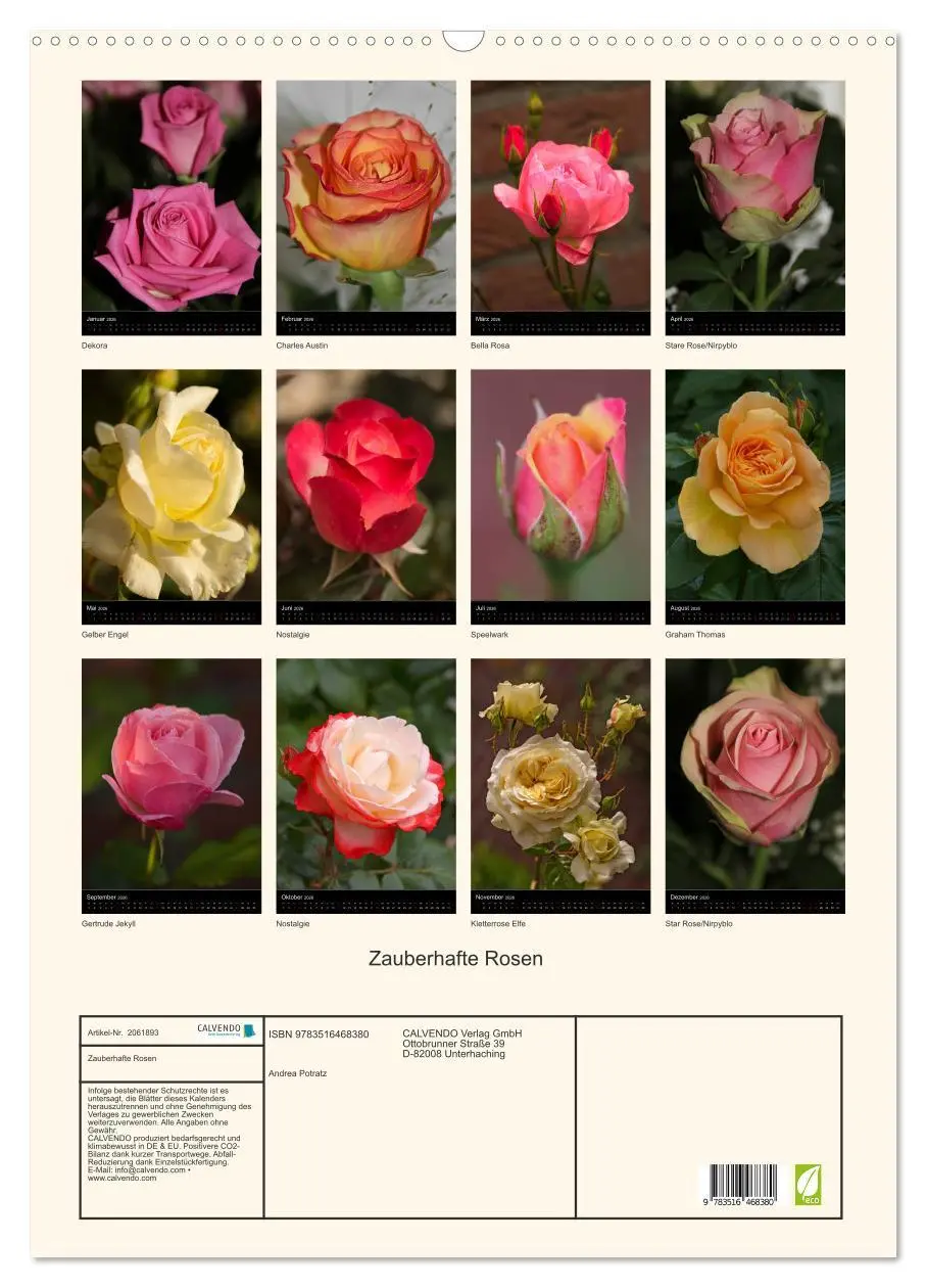 Bild: 9783516468380 | Zauberhafte Rosen (Wandkalender 2026 DIN A2 hoch), CALVENDO...