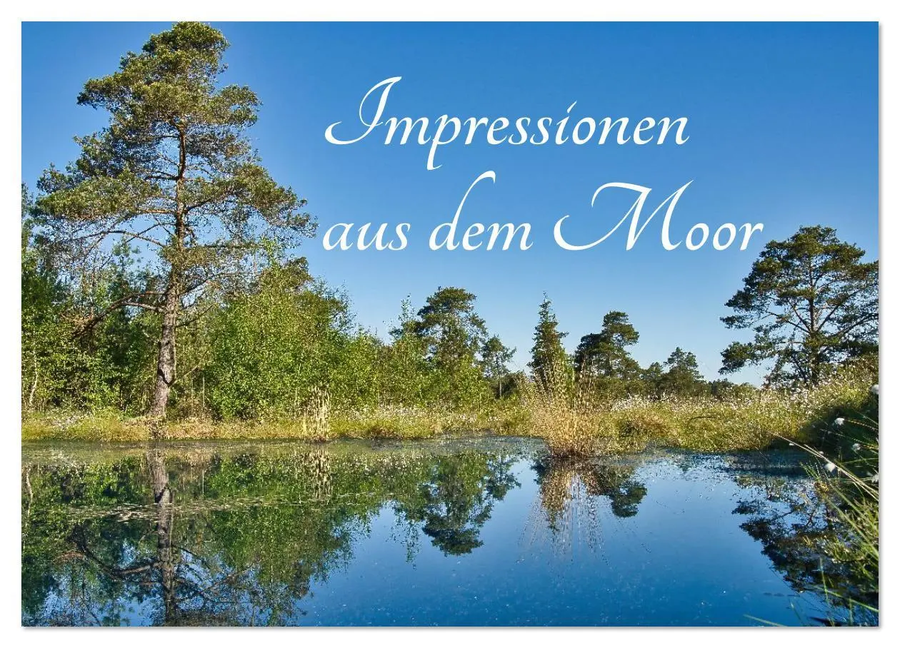 Cover: 9783516608380 | Impressionen aus dem Moor (Wandkalender 2026 DIN A2 quer), CALVENDO...