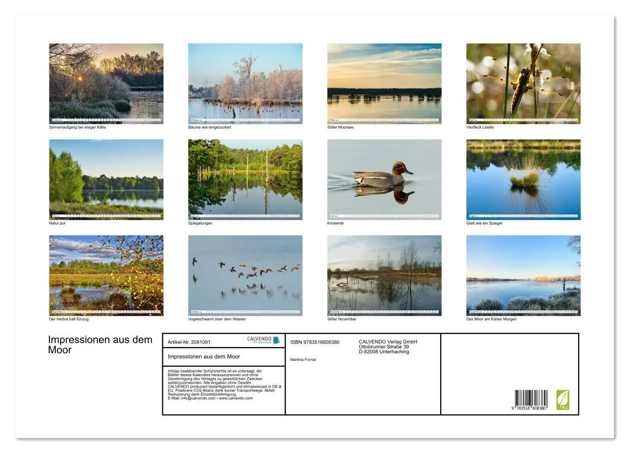 Bild: 9783516608380 | Impressionen aus dem Moor (Wandkalender 2026 DIN A2 quer), CALVENDO...