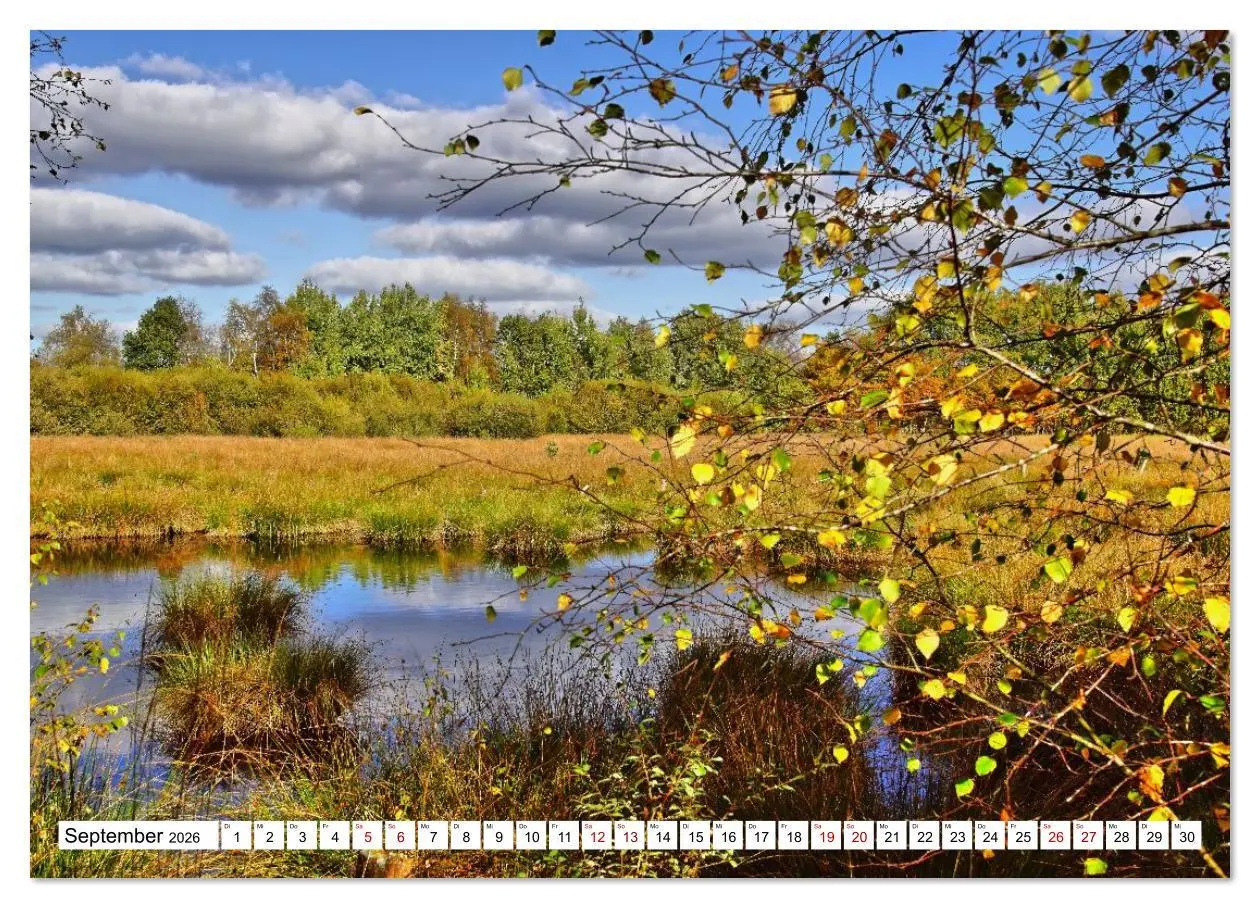 Bild: 9783516608380 | Impressionen aus dem Moor (Wandkalender 2026 DIN A2 quer), CALVENDO...