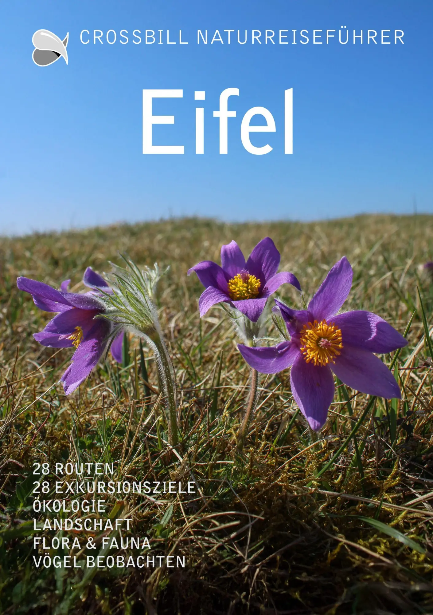 Cover: 9789491648380 | Eifel | Olaf Op den Kamp | Taschenbuch | Crossbill Guides | Deutsch