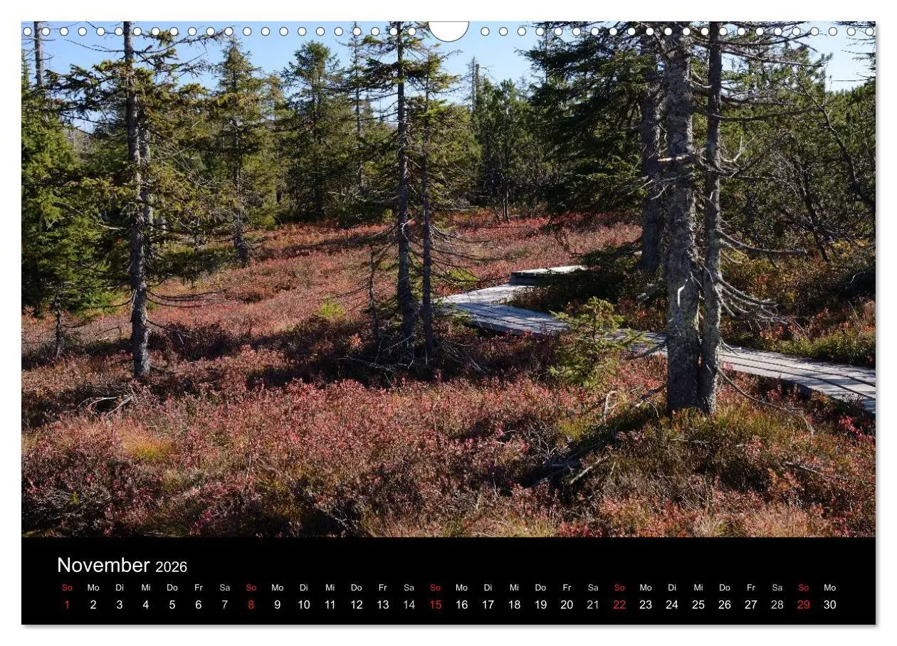Bild: 9783457988480 | Zauberhafter Bayerischer Wald (Wandkalender 2026 DIN A3 quer),...