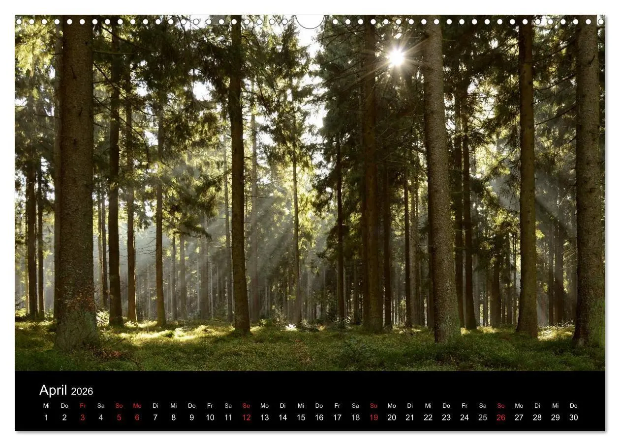 Bild: 9783457988480 | Zauberhafter Bayerischer Wald (Wandkalender 2026 DIN A3 quer),...