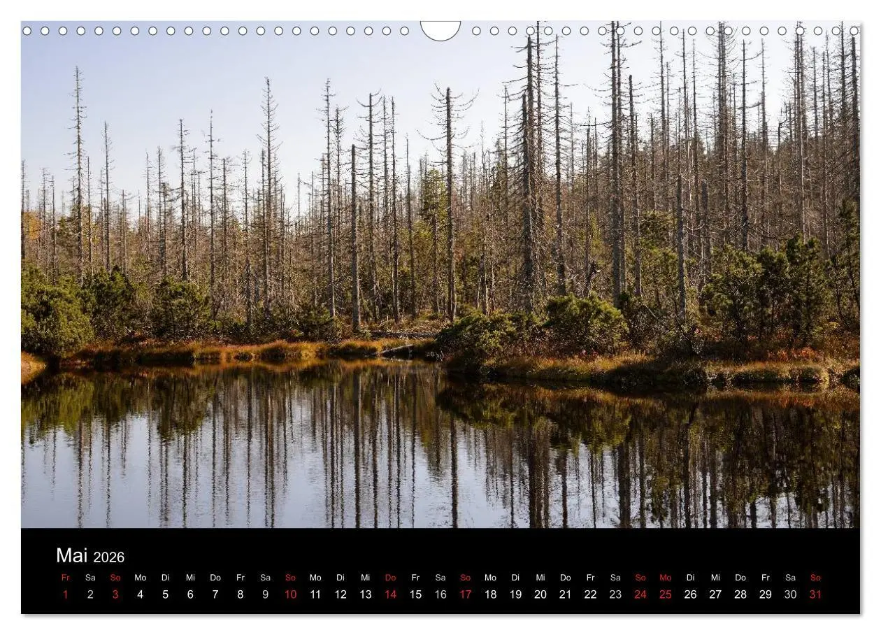 Bild: 9783457988480 | Zauberhafter Bayerischer Wald (Wandkalender 2026 DIN A3 quer),...
