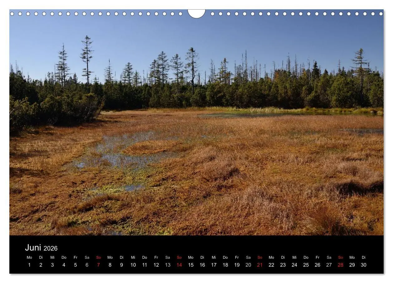 Bild: 9783457988480 | Zauberhafter Bayerischer Wald (Wandkalender 2026 DIN A3 quer),...