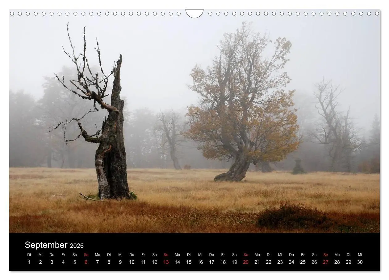 Bild: 9783457988480 | Zauberhafter Bayerischer Wald (Wandkalender 2026 DIN A3 quer),...