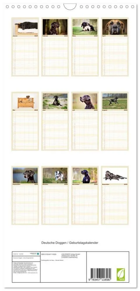 Bild: 9783457118580 | Familienplaner 2025 - Deutsche Doggen / Geburtstagskalender mit 5...