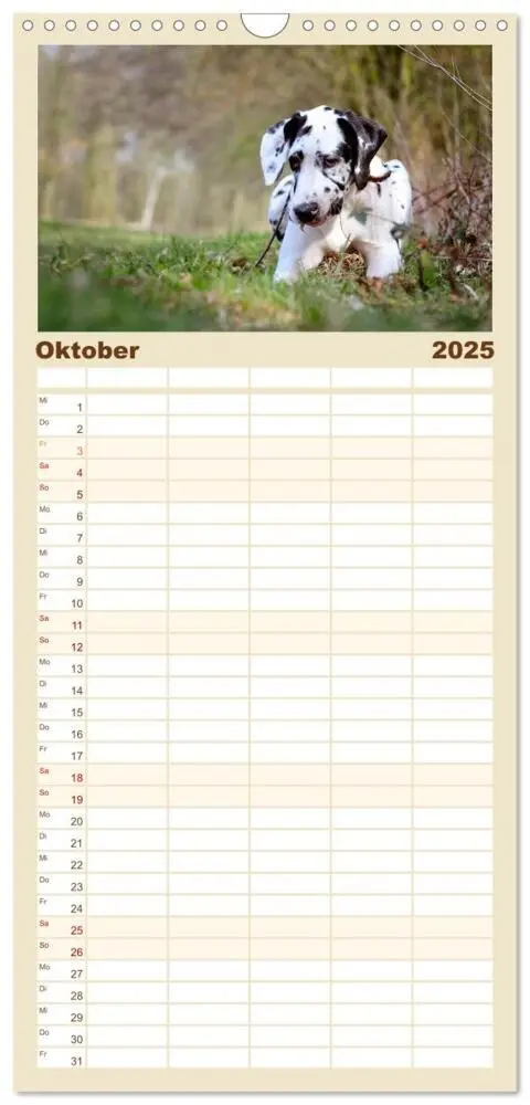 Bild: 9783457118580 | Familienplaner 2025 - Deutsche Doggen / Geburtstagskalender mit 5...