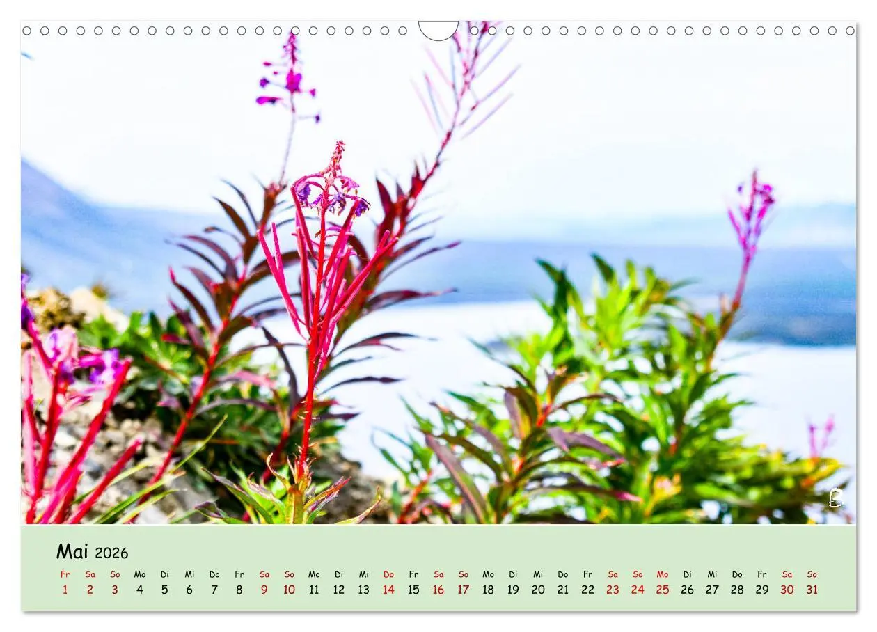 Bild: 9783457738580 | Entdecke den Yukon (Wandkalender 2026 DIN A3 quer), CALVENDO...