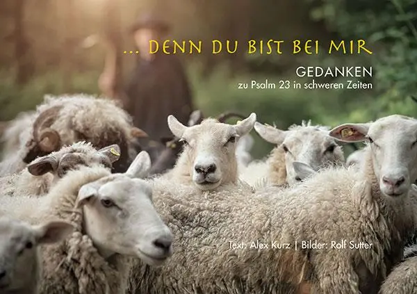 Cover: 9783290178680 | ... denn du bist bei mir | Gedanken zu Psalm 23 in schweren Zeiten