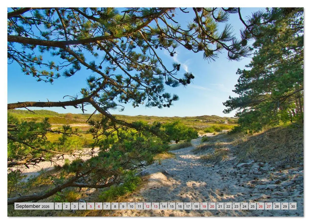 Bild: 9783457898680 | Ungewöhnliches Nordholland (Wandkalender 2026 DIN A2 quer),...