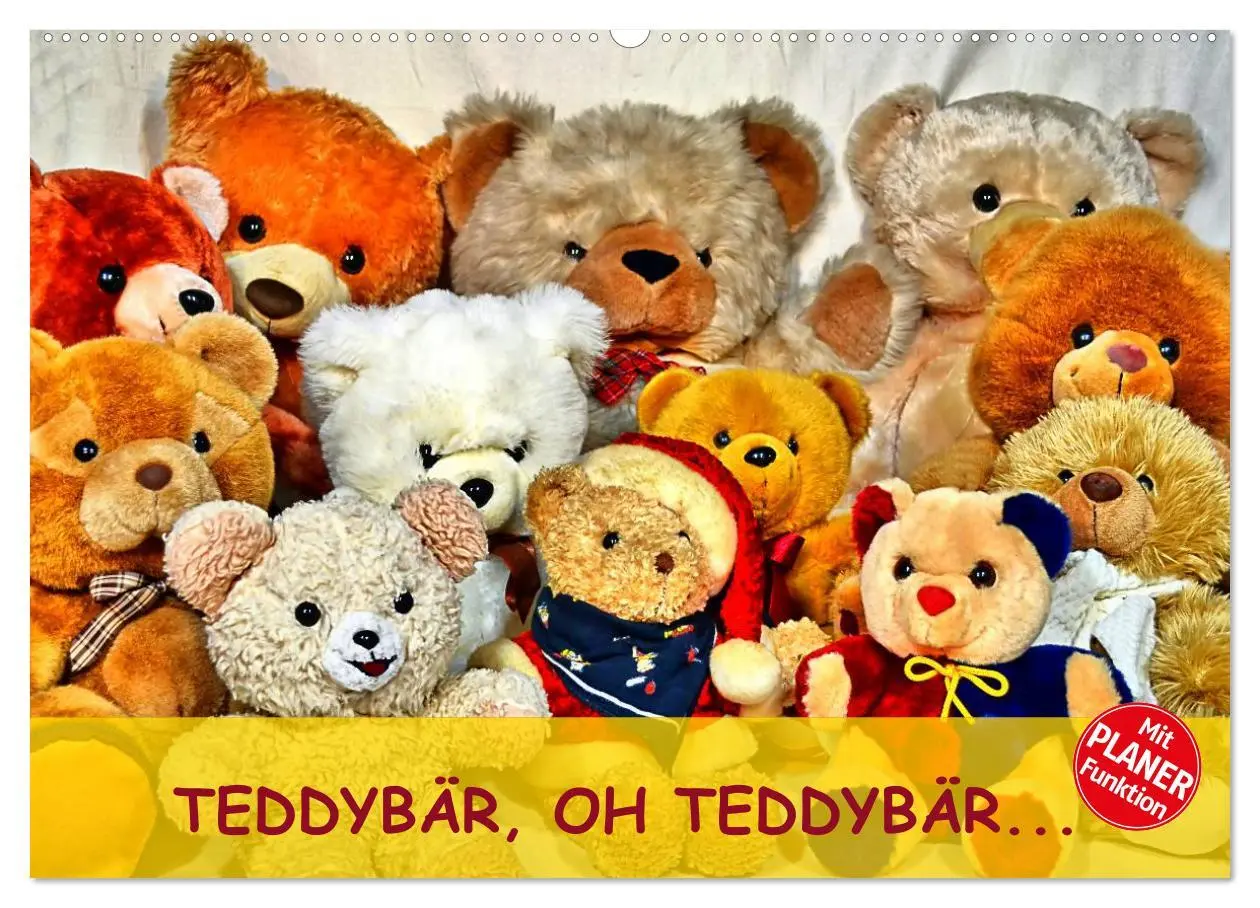 Cover: 9783457968680 | TEDDYBÄR, OH TEDDYBÄR... (Wandkalender 2026 DIN A2 quer), CALVENDO...